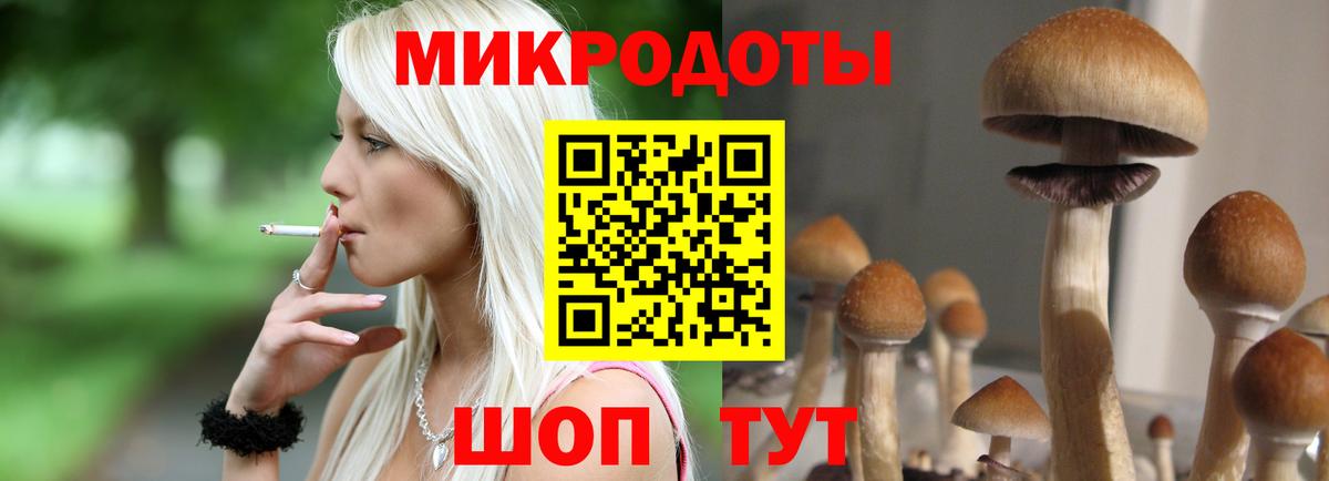 Галлюциногенные грибы Psilocybine cubensis  Вход с VPN  Галлюциногенные грибы GOLDEN TEACHER  Городец 